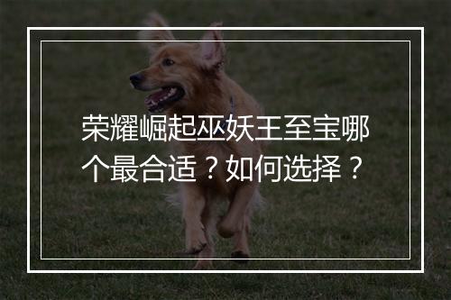 荣耀崛起巫妖王至宝哪个最合适？如何选择？