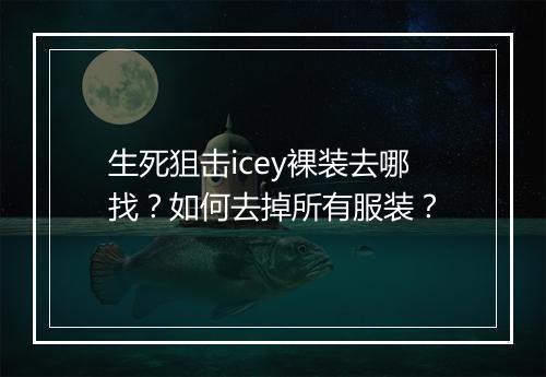 生死狙击icey裸装去哪找？如何去掉所有服装？