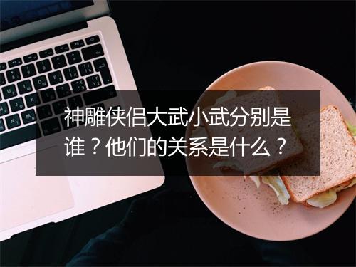 神雕侠侣大武小武分别是谁？他们的关系是什么？