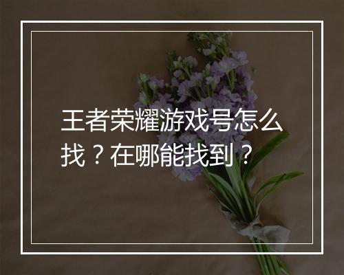 王者荣耀游戏号怎么找？在哪能找到？