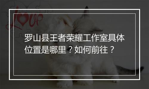 罗山县王者荣耀工作室具体位置是哪里？如何前往？