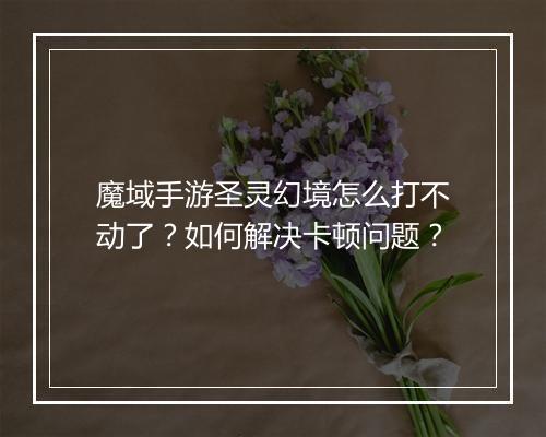 魔域手游圣灵幻境怎么打不动了？如何解决卡顿问题？