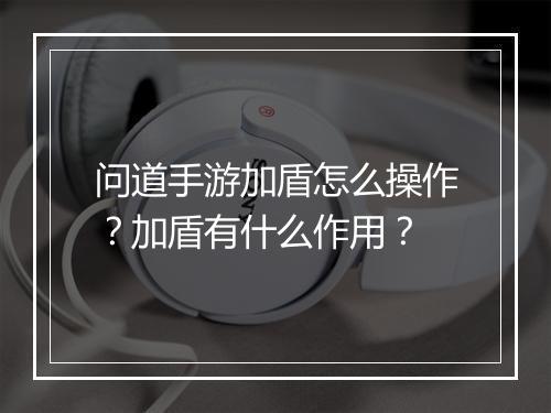 问道手游加盾怎么操作？加盾有什么作用？