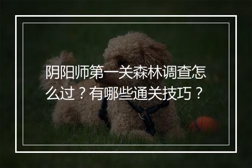 阴阳师第一关森林调查怎么过？有哪些通关技巧？