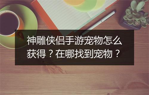 神雕侠侣手游宠物怎么获得？在哪找到宠物？