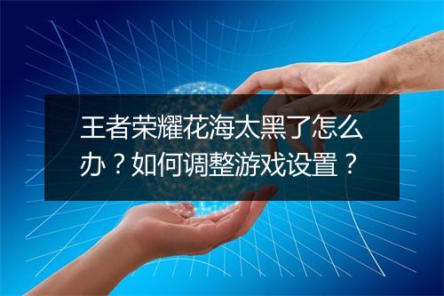 王者荣耀花海太黑了怎么办？如何调整游戏设置？