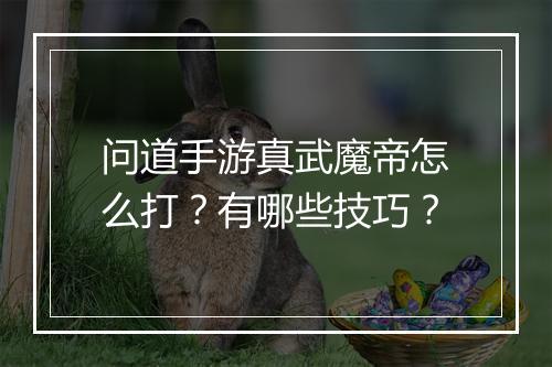问道手游真武魔帝怎么打？有哪些技巧？