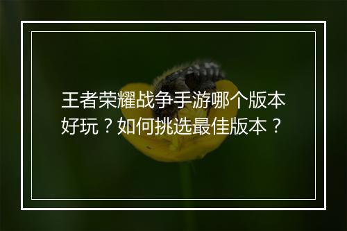 王者荣耀战争手游哪个版本好玩？如何挑选最佳版本？
