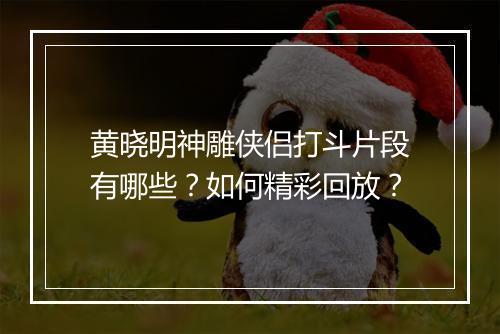 黄晓明神雕侠侣打斗片段有哪些？如何精彩回放？