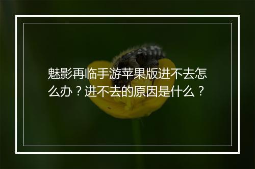 魅影再临手游苹果版进不去怎么办？进不去的原因是什么？