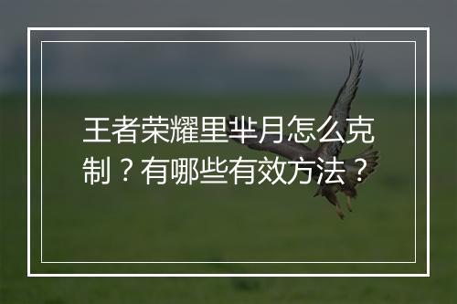 王者荣耀里芈月怎么克制？有哪些有效方法？
