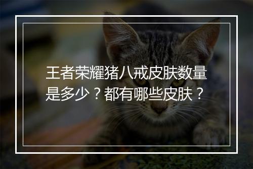 王者荣耀猪八戒皮肤数量是多少？都有哪些皮肤？