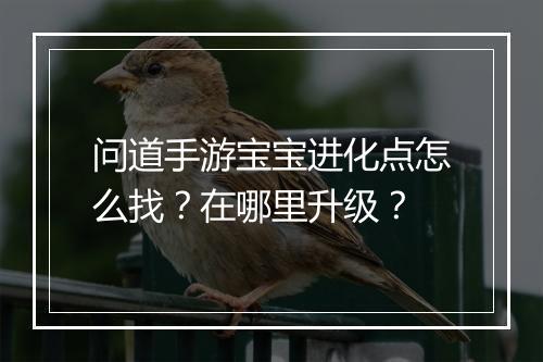 问道手游宝宝进化点怎么找？在哪里升级？
