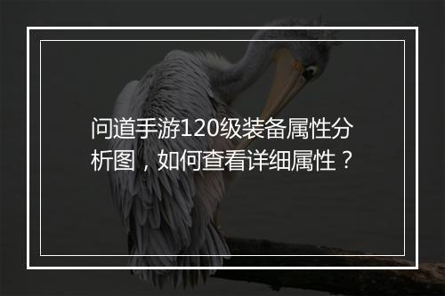 问道手游120级装备属性分析图，如何查看详细属性？