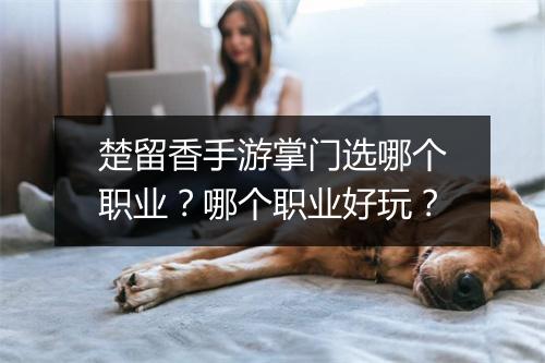 楚留香手游掌门选哪个职业？哪个职业好玩？