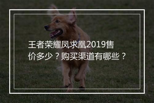 王者荣耀凤求凰2019售价多少？购买渠道有哪些？