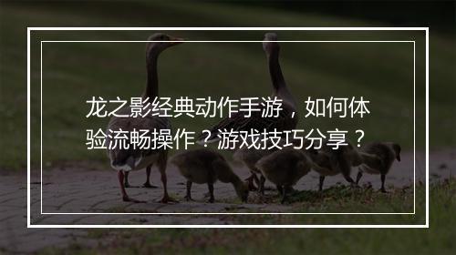 龙之影经典动作手游，如何体验流畅操作？游戏技巧分享？