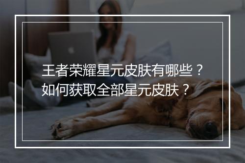王者荣耀星元皮肤有哪些？如何获取全部星元皮肤？