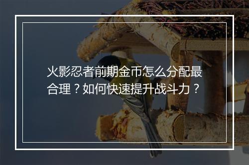 火影忍者前期金币怎么分配最合理？如何快速提升战斗力？