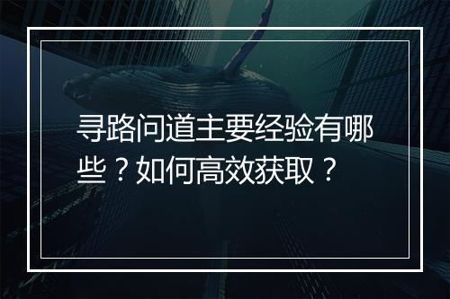 寻路问道主要经验有哪些？如何高效获取？
