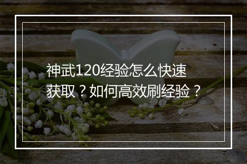 神武120经验怎么快速获取？如何高效刷经验？