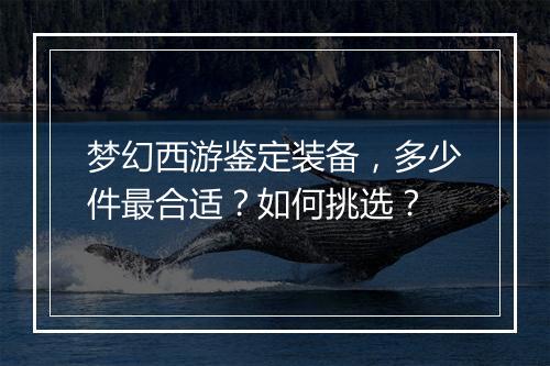 梦幻西游鉴定装备，多少件最合适？如何挑选？