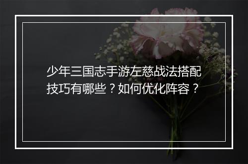 少年三国志手游左慈战法搭配技巧有哪些？如何优化阵容？