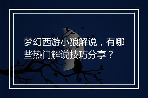梦幻西游小狼解说，有哪些热门解说技巧分享？
