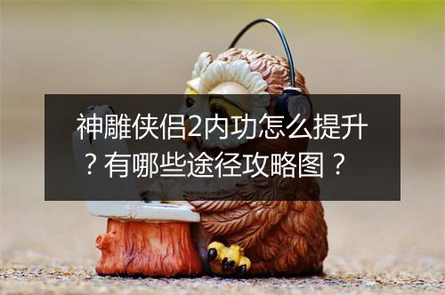 神雕侠侣2内功怎么提升？有哪些途径攻略图？