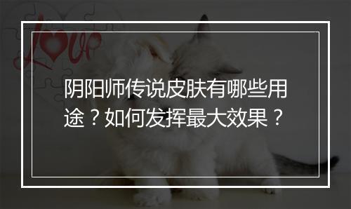 阴阳师传说皮肤有哪些用途？如何发挥最大效果？