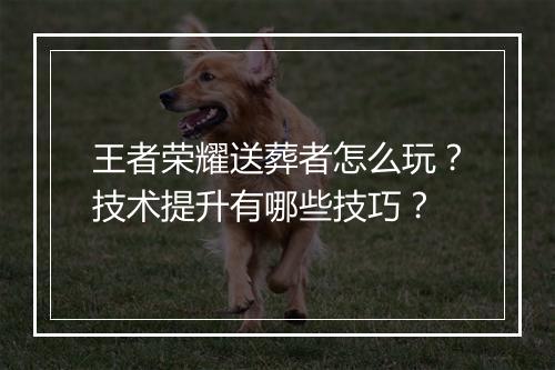 王者荣耀送葬者怎么玩？技术提升有哪些技巧？
