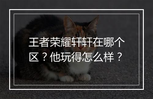 王者荣耀轩轩在哪个区？他玩得怎么样？