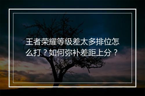 王者荣耀等级差太多排位怎么打？如何弥补差距上分？