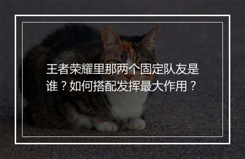 王者荣耀里那两个固定队友是谁？如何搭配发挥最大作用？