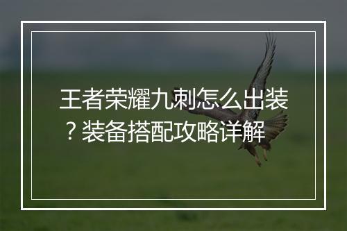 王者荣耀九刺怎么出装？装备搭配攻略详解