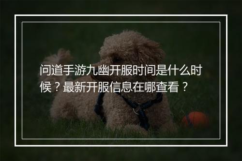 问道手游九幽开服时间是什么时候？最新开服信息在哪查看？