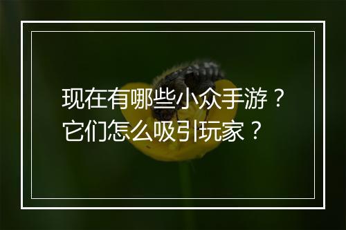 现在有哪些小众手游？它们怎么吸引玩家？