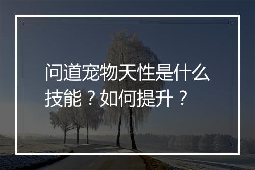 问道宠物天性是什么技能？如何提升？