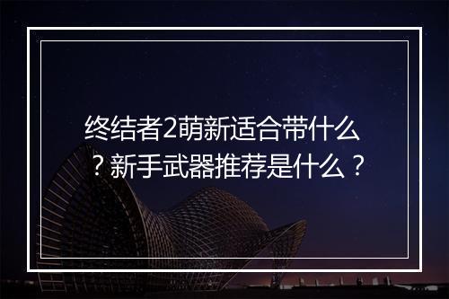 终结者2萌新适合带什么？新手武器推荐是什么？