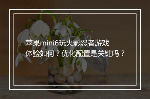 苹果mini6玩火影忍者游戏体验如何？优化配置是关键吗？