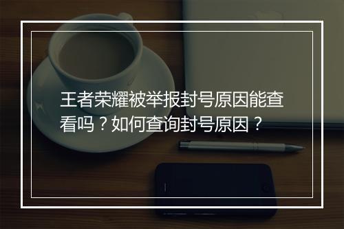 王者荣耀被举报封号原因能查看吗？如何查询封号原因？