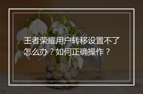 王者荣耀用户转移设置不了怎么办？如何正确操作？