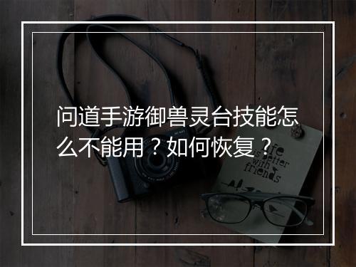 问道手游御兽灵台技能怎么不能用？如何恢复？