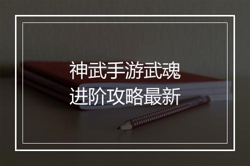 神武手游武魂进阶攻略最新
