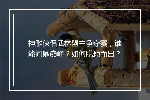 神雕侠侣武林盟主争夺赛，谁能问鼎巅峰？如何脱颖而出？