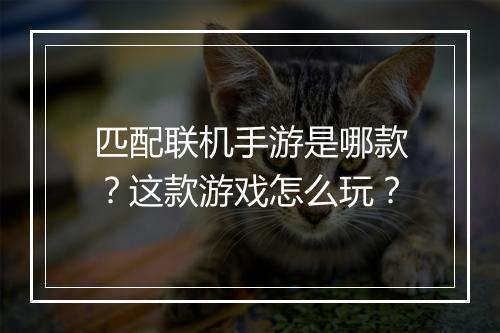 匹配联机手游是哪款？这款游戏怎么玩？