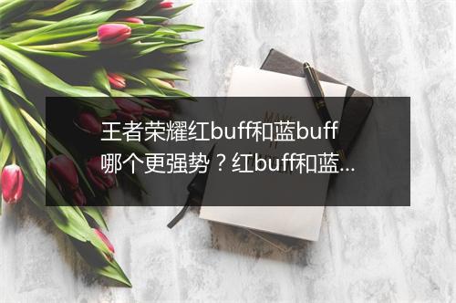 王者荣耀红buff和蓝buff哪个更强势？红buff和蓝buff哪个更适合我？
