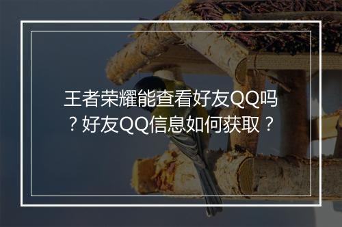 王者荣耀能查看好友QQ吗？好友QQ信息如何获取？