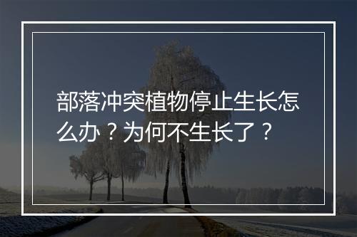 部落冲突植物停止生长怎么办？为何不生长了？