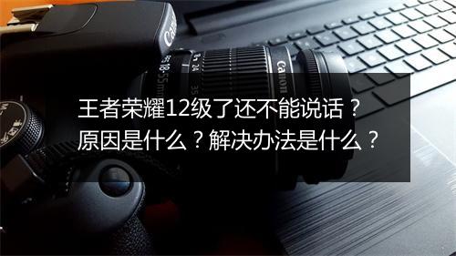 王者荣耀12级了还不能说话？原因是什么？解决办法是什么？